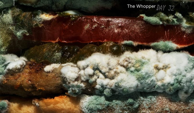 Burger King anuncia eliminação de conservantes com Whopper coberto de bolor