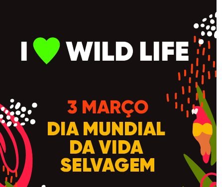FNAC e Loving the Planet juntos para promover sustentabilidade