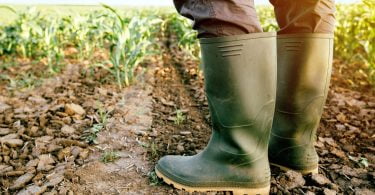  PAN pede ao governo mais apoios no setor agrícola