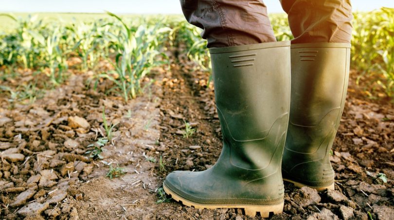  PAN pede ao governo mais apoios no setor agrícola