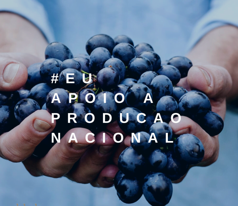Plataforma apoia produção portuguesa