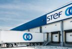 STEF