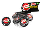 Novo produto Babybel Protein