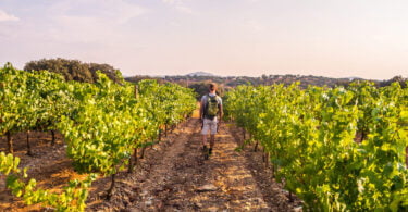 Os vinhos portugueses foram mais exportados em janeiro e fevereiro deste ano, em comparação ao mesmo período de 2020.