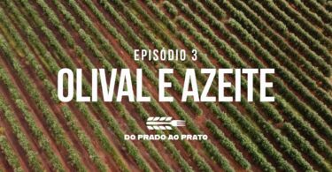 O terceiro episódio do ‘Prado ao Prato’ coloca em destaque práticas como a mitigação das alterações climáticas na produção de azeite.