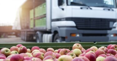 As exportações de produtos alimentares e bebidas cresceram 13,5% no acumulado de janeiro a setembro deste ano, face ao mesmo período de 2019.