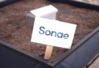 Sonae Campus conta agora com uma horta comunitária