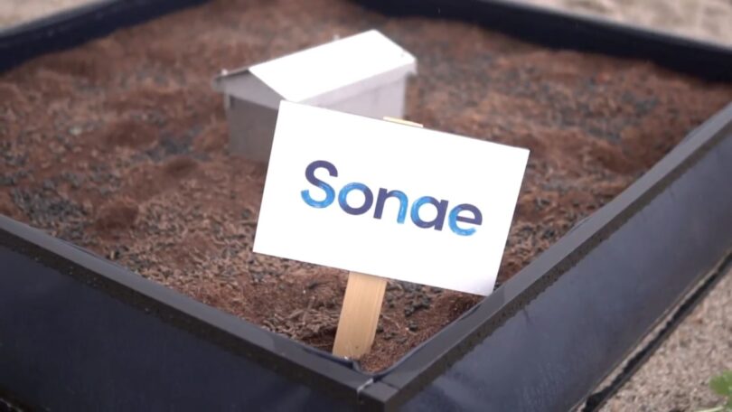 Sonae Campus conta agora com uma horta comunitária