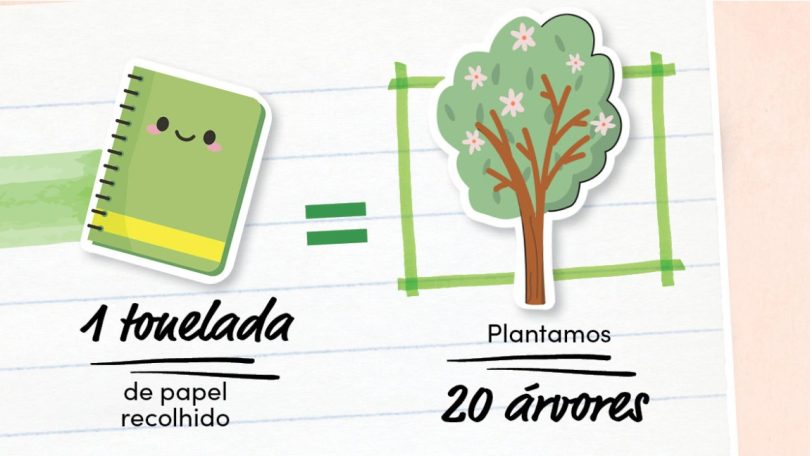 Continente promove plantação de árvores através de reciclagem de cadernos escolares