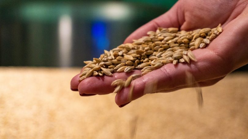 Preços dos alimentos cai globalmente pelo quinto mês consecutivo