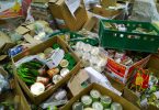 Desperdício alimentar – O papel do retalhista português