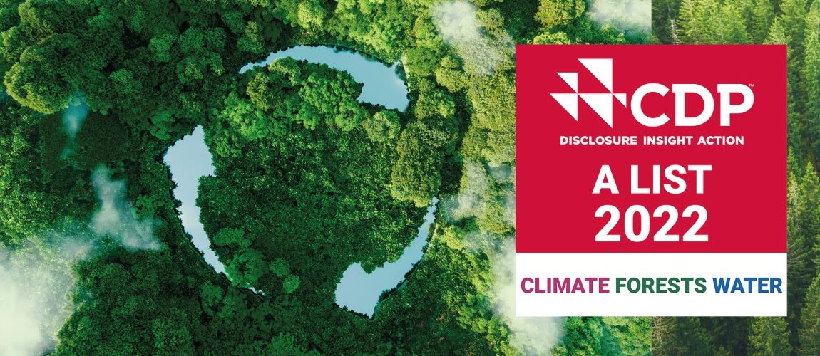 Beiersdorf recebe classificação “CDP Triplo A” pelo progresso sustentável
