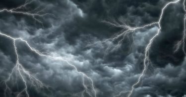 Tendências num ano de tempestade