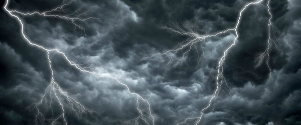 Tendências num ano de tempestade