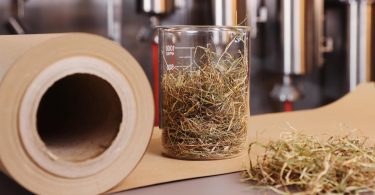 DS Smith testa fabrico de papel a partir de palha e cereais 