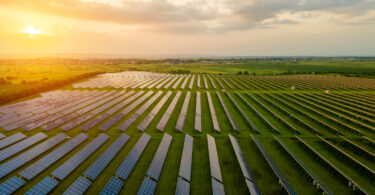 Sovena atinge 100% de eletricidade renovável nas suas operações na Península Ibérica