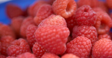 Exportações de frutas, legumes e flores cresceram 13,4% no primeiro semestre