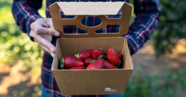 DS Smith apresenta novas soluções de packaging na Fruit Attraction