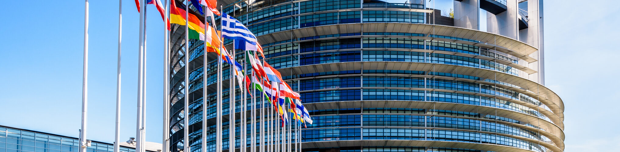 Parlamento Europeu dá 'luz verde' a novas medidas para reduzir desperdício alimentar e têxteis