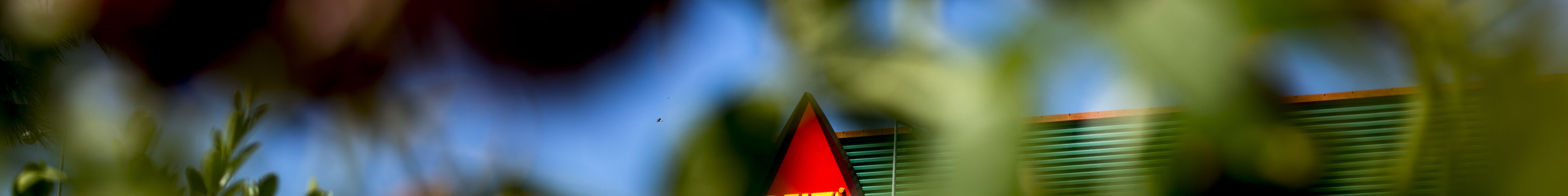 Grupo Nabeiro volta a liderar ranking ESG em Portugal