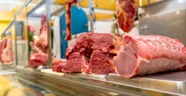 Parlamento Europeu quer separar legalmente carne animal da carne produzida em laboratório