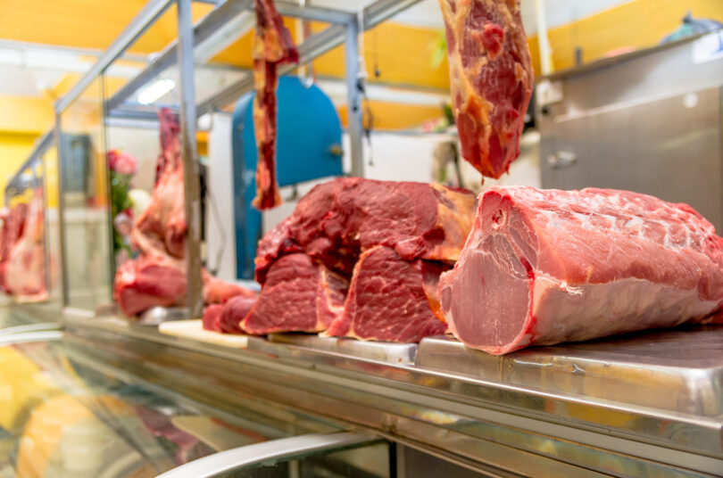 Parlamento Europeu quer separar legalmente carne animal da carne produzida em laboratório