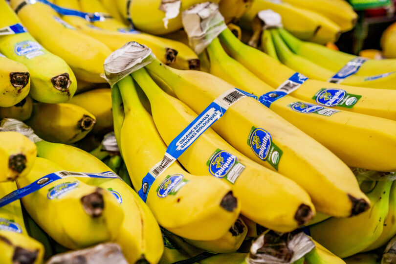 Chiquita anuncia expansão em Portugal com novo centro de distribuição