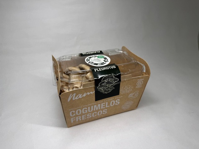 Auchan reaproveita borras de café para produzir cogumelos