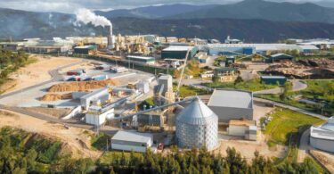 Sonae Arauco elevou para 41% a utilização de madeira reciclada em Portugal em 2025