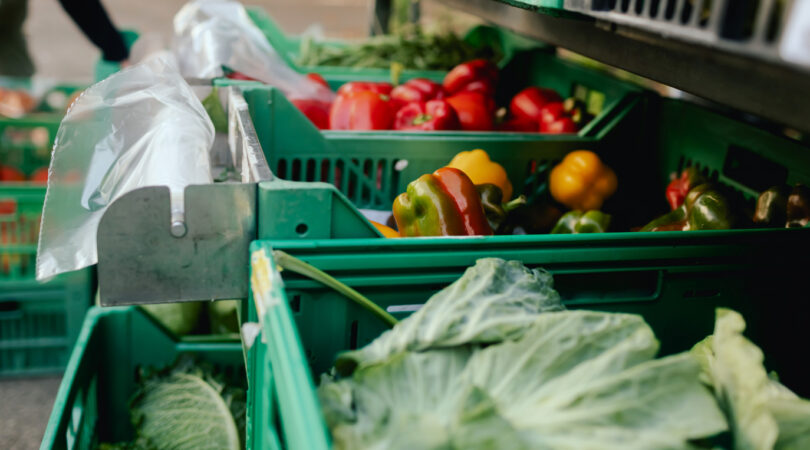 Clube de Produtores Continente compra 650 milhões de euros em produção nacional em 2025