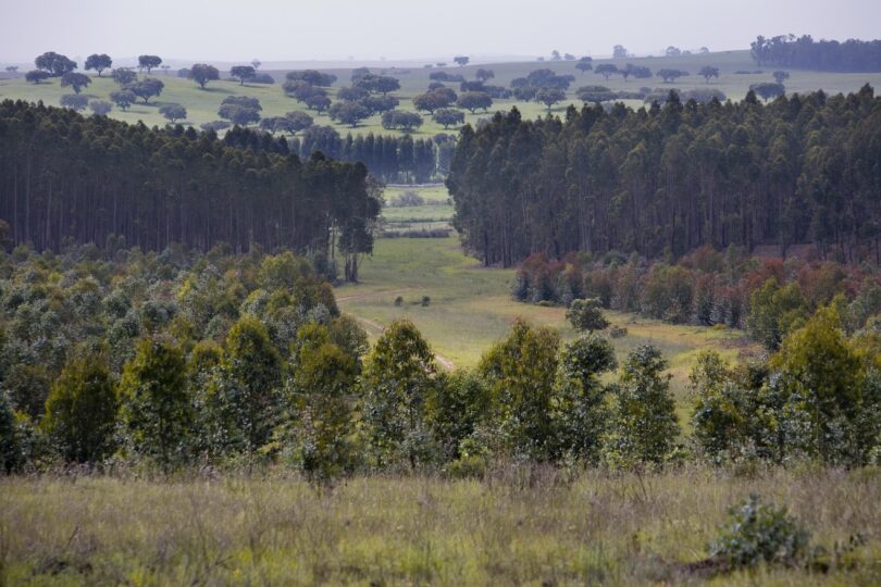 Navigator reforça uso de IA na indústria, floresta e logística