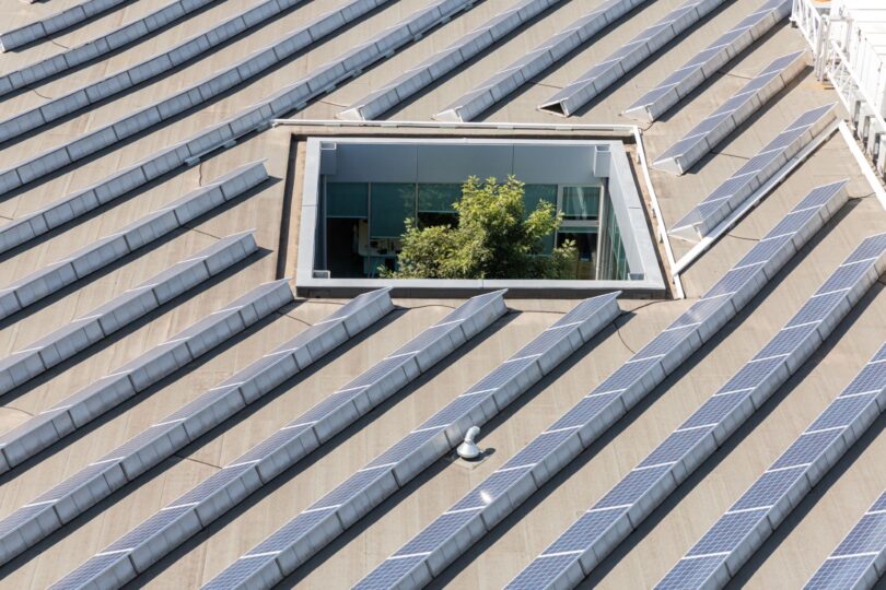 Sonae reduz emissões em 25% face a 2022 e mantém meta de corte de 53% até 2032